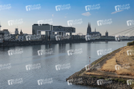 Historisches Niedrigwasser im Rhein in Köln