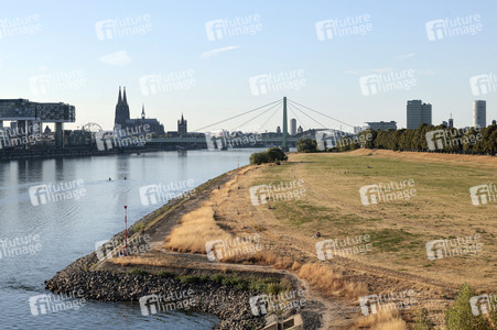 Historisches Niedrigwasser im Rhein in Köln