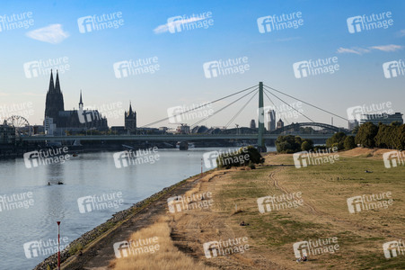 Historisches Niedrigwasser im Rhein in Köln