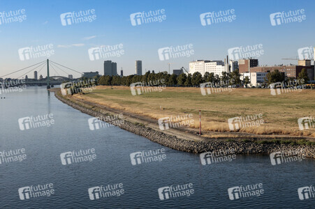 Historisches Niedrigwasser im Rhein in Köln