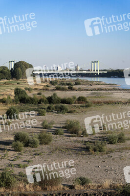 Historisches Niedrigwasser im Rhein in Köln