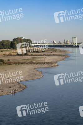 Historisches Niedrigwasser im Rhein in Köln