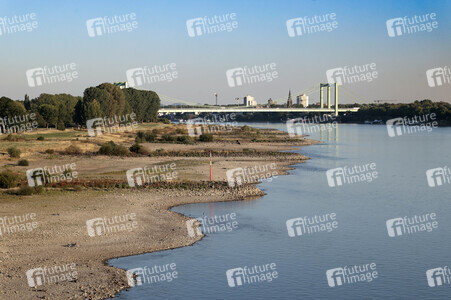 Historisches Niedrigwasser im Rhein in Köln