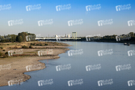 Historisches Niedrigwasser im Rhein in Köln