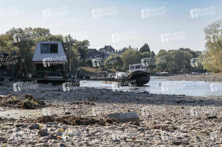 Historisches Niedrigwasser im Rhein bei Bornheim