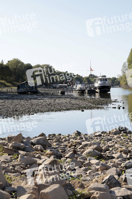Historisches Niedrigwasser im Rhein bei Bornheim