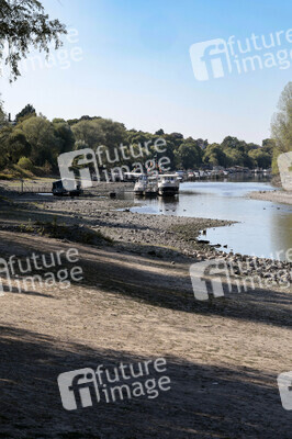 Historisches Niedrigwasser im Rhein bei Bornheim
