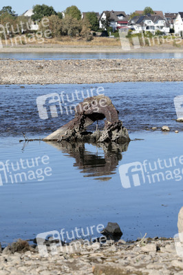 Historisches Niedrigwasser im Rhein bei Bornheim