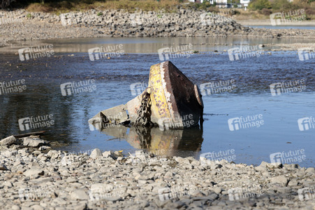 Historisches Niedrigwasser im Rhein bei Bornheim