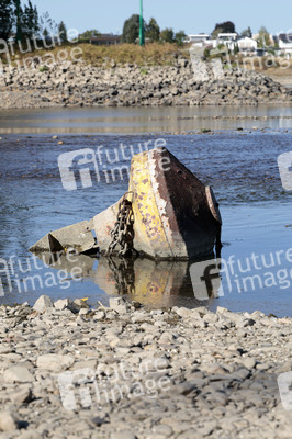 Historisches Niedrigwasser im Rhein bei Bornheim