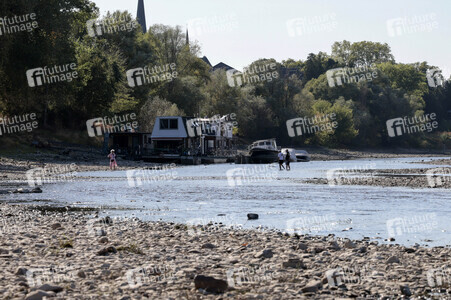 Historisches Niedrigwasser im Rhein bei Bornheim