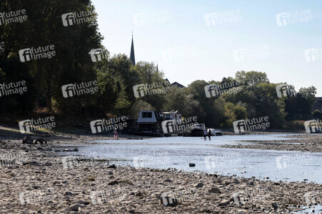 Historisches Niedrigwasser im Rhein bei Bornheim