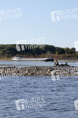 Historisches Niedrigwasser im Rhein bei Bornheim