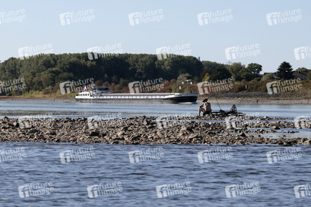 Historisches Niedrigwasser im Rhein bei Bornheim