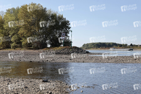 Historisches Niedrigwasser im Rhein bei Bornheim