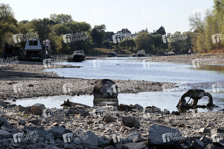 Historisches Niedrigwasser im Rhein bei Bornheim
