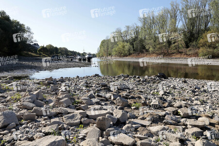 Historisches Niedrigwasser im Rhein bei Bornheim