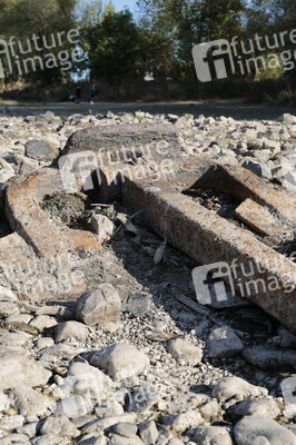 Historisches Niedrigwasser im Rhein bei Bornheim