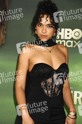Serienpremiere 'Lanterns' in Los Angeles