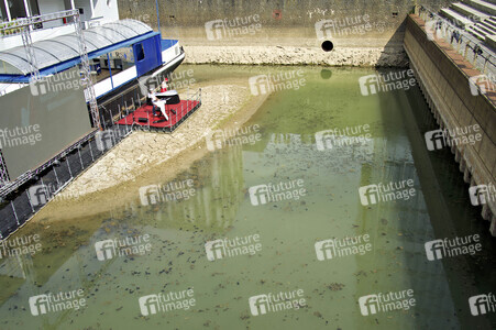 Niedrigwasser im Rhein in Köln