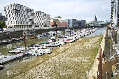Niedrigwasser im Rhein in Köln