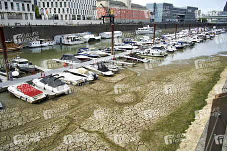 Niedrigwasser im Rhein in Köln