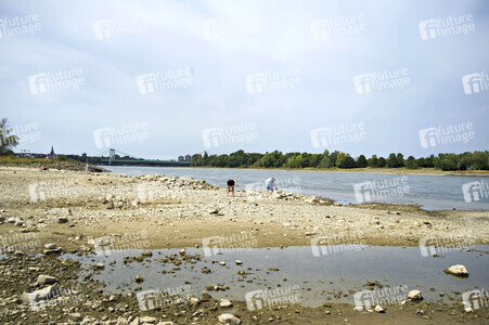 Niedrigwasser im Rhein in Köln