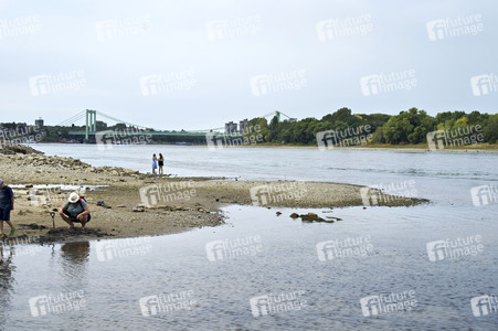 Niedrigwasser im Rhein in Köln
