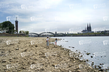 Niedrigwasser im Rhein in Köln