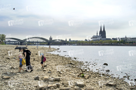 Niedrigwasser im Rhein in Köln
