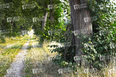 NATURE ART: Lindenallee / Linden Avenue Bodypainting