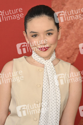 Filmpremiere 'Coyote vs. Acme' in Los Angeles
