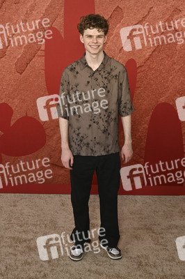 Filmpremiere 'Coyote vs. Acme' in Los Angeles
