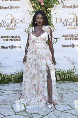 Filmpremiere 'Practical Magic 2 - Zauberhafte Schwestern' in Los Angeles