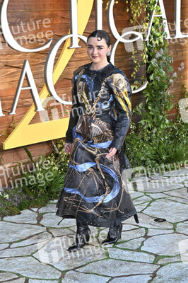 Filmpremiere 'Practical Magic 2 - Zauberhafte Schwestern' in Los Angeles