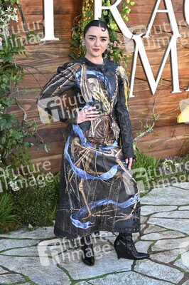 Filmpremiere 'Practical Magic 2 - Zauberhafte Schwestern' in Los Angeles