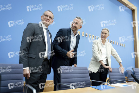 Bundespressekonferenz 'AfD - Auswirkungen der Landtagswahl in Sachsen-Anhalt auf die Bundespolitik' in Berlin