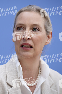 Bundespressekonferenz 'AfD - Auswirkungen der Landtagswahl in Sachsen-Anhalt auf die Bundespolitik' in Berlin