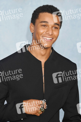 Filmpremiere 'Why Did I Get Married Again?' in Los Angeles