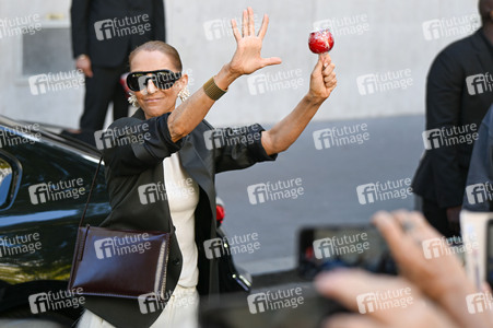 Céline Dion auf dem Weg zur ihrem Konzert in Paris