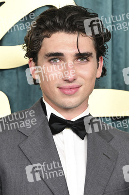 The Walt Disney Company 78th Emmy Awards Party in Los Angeles