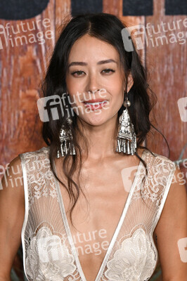 Serienpremiere 'Brothers' in Los Angeles