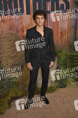 Serienpremiere 'Brothers' in Los Angeles