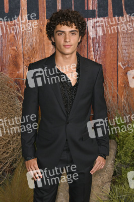 Serienpremiere 'Brothers' in Los Angeles