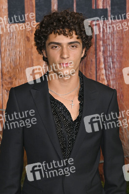 Serienpremiere 'Brothers' in Los Angeles