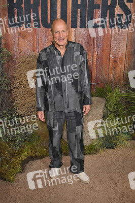 Serienpremiere 'Brothers' in Los Angeles