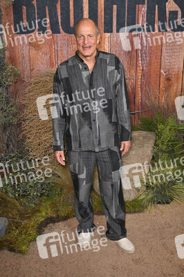 Serienpremiere 'Brothers' in Los Angeles