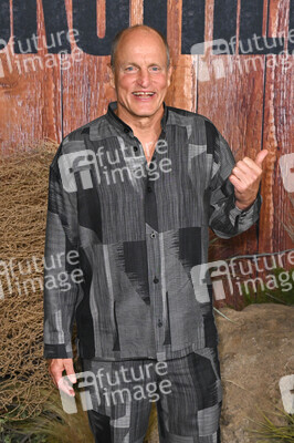 Serienpremiere 'Brothers' in Los Angeles