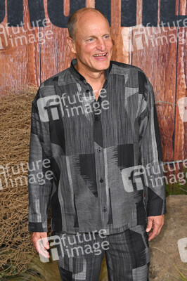 Serienpremiere 'Brothers' in Los Angeles