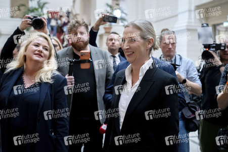 Wahlparty der AfD nach der Abgeordnetenhauswahl in Berlin